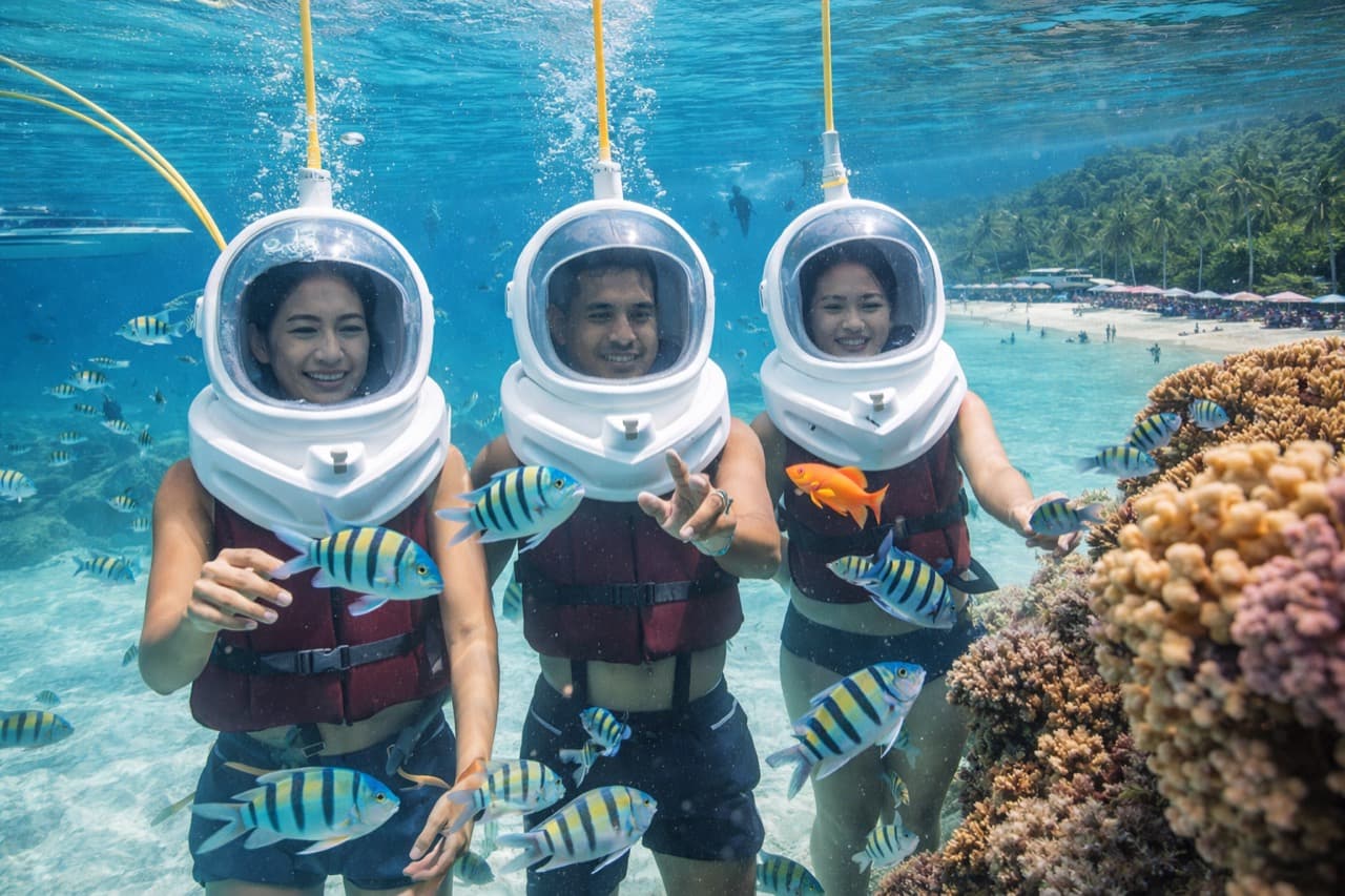 Coral Island + Sea Walker